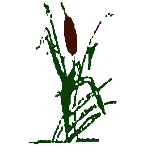 Logo4