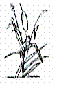 logowaeter